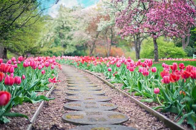 What you can do in your garden